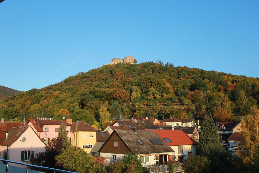 Neustadt an der Weinstraße Gaestehaus Rebenhof酒店 外观 照片